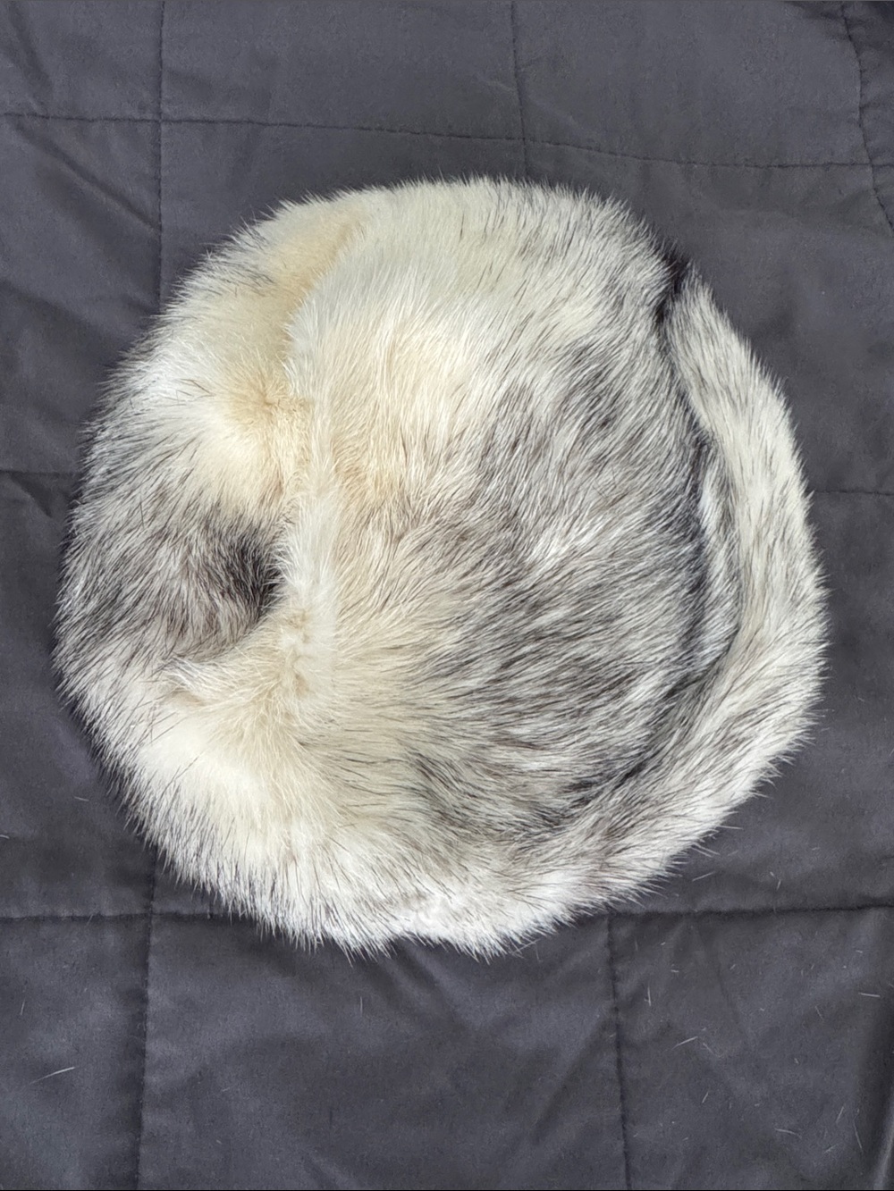 Vintage Mink Hat